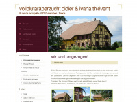 thieventaraber.ch Webseite Vorschau
