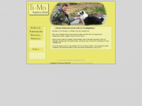 ti-mo-service.de Webseite Vorschau