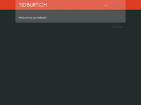 tidbury.ch Webseite Vorschau