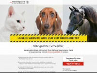 tierarzt-riepe.de Webseite Vorschau