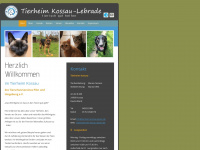 Tierheim-kossau-ploen.de