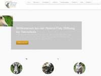 tierschutzheim.ch Webseite Vorschau
