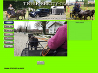 tiger-shetty-team.ch Webseite Vorschau
