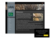 timberlink.de Webseite Vorschau