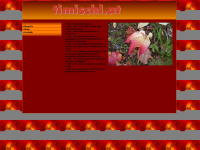 timischl.at Webseite Vorschau