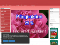 simtrain.ch Webseite Vorschau