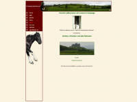tinkerpferde.at Webseite Vorschau
