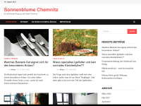 sonnenblume-chemnitz.de Webseite Vorschau