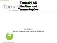 tomasini.ch Webseite Vorschau