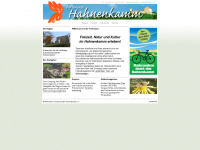 tourismus-hahnenkamm.de Webseite Vorschau