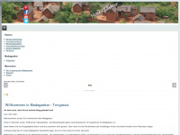 tourismus-madagaskar.de Webseite Vorschau