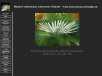 trachycarpus-princeps.de Webseite Vorschau