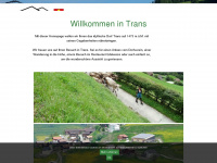 trans.ch Webseite Vorschau