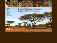 dhahabu-rhodesian-ridgebacks.de Webseite Vorschau