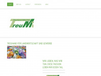 treumi.ch Webseite Vorschau