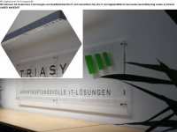 triasys.ch Webseite Vorschau