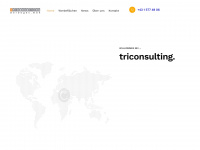 triconsulting.at Webseite Vorschau