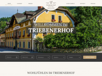 triebenerhof.at Webseite Vorschau