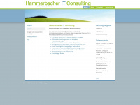 hammerbacher-it.de Webseite Vorschau