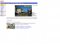trolley.ch Webseite Vorschau