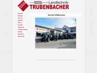 truebenbacher-lt.de Thumbnail