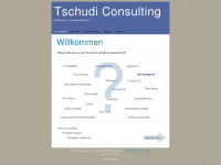 tschudi-consulting.ch Webseite Vorschau