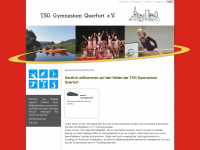 tsg-gymnasium-querfurt-ev.de Webseite Vorschau