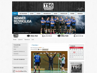 tsgheilbronn-handball.de Webseite Vorschau