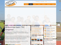 tsv-galgenen.ch Webseite Vorschau