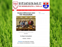 tsv-wewelsfleth.de Webseite Vorschau