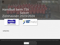 tsv-zizis.de Webseite Vorschau