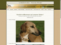 tuareg-windhund.de Webseite Vorschau
