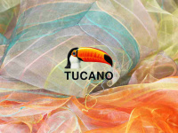 tucano.ch Webseite Vorschau
