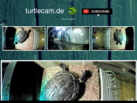 turtlecam.de Webseite Vorschau