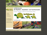 turtlehome.de Webseite Vorschau