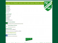 tv-marktsteft.de Webseite Vorschau