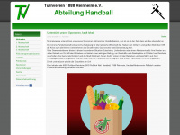 tv88-handball.de Thumbnail