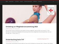 tvfechingen.de Webseite Vorschau