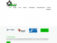 tvwald.ch Webseite Vorschau