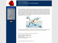 transregio23.de Webseite Vorschau