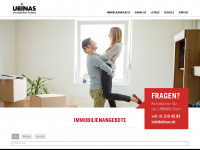 ubinas.ch Webseite Vorschau