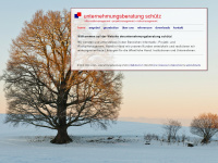 ubszm.ch Webseite Vorschau