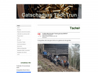 udc-toedi.ch Webseite Vorschau
