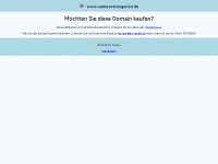 uebersetzungen24.de Webseite Vorschau