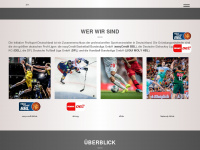 profisport-deutschland.de Webseite Vorschau