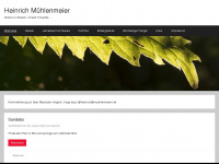 blog.muehlenmeier.net Webseite Vorschau