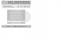 urs-gnaedinger.ch Webseite Vorschau