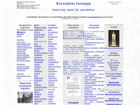 bucsujaras.hu Webseite Vorschau