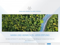 usterstiftung.ch Thumbnail