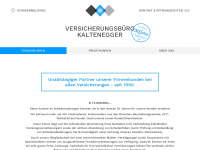 vb-kaltenegger.at Webseite Vorschau